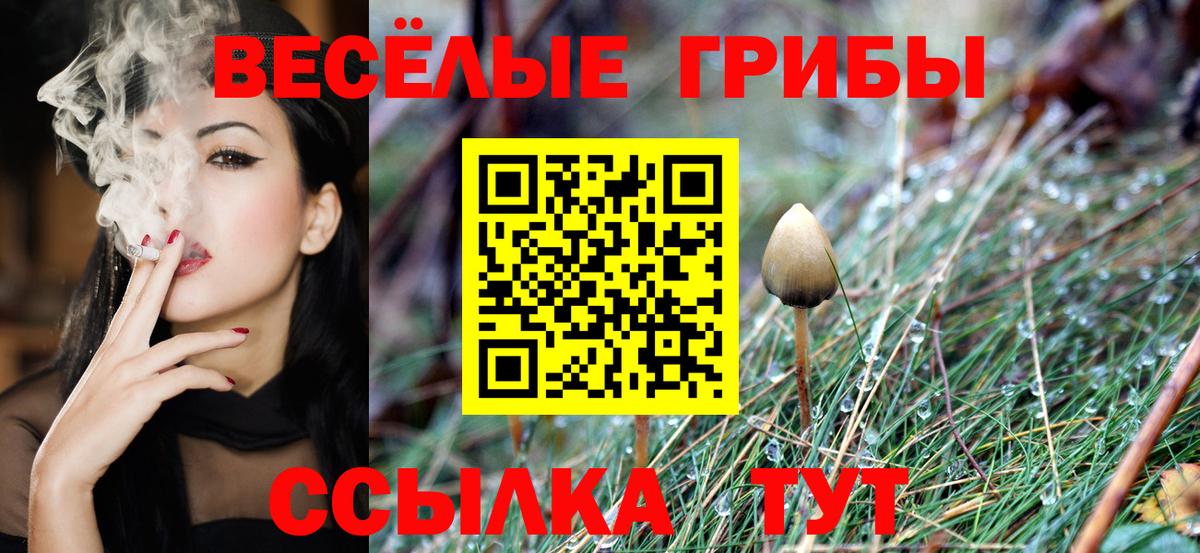 Псилоцибиновые грибы Magic Shrooms  наркошоп  Кингисепп  Галлюциногенные грибы мухоморы  Вход с VPN 